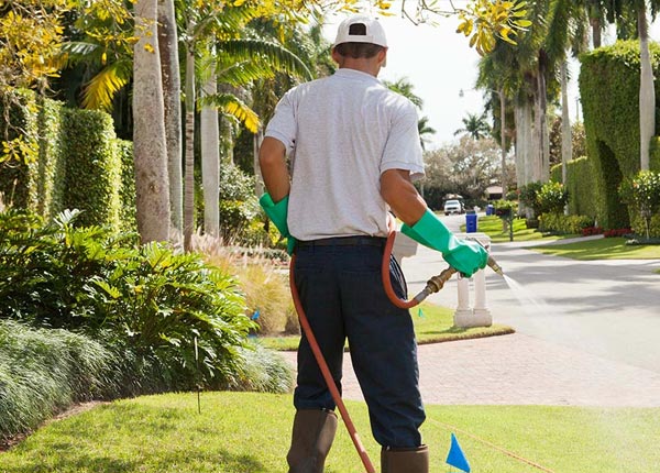 About La Crosse VA Pest Control